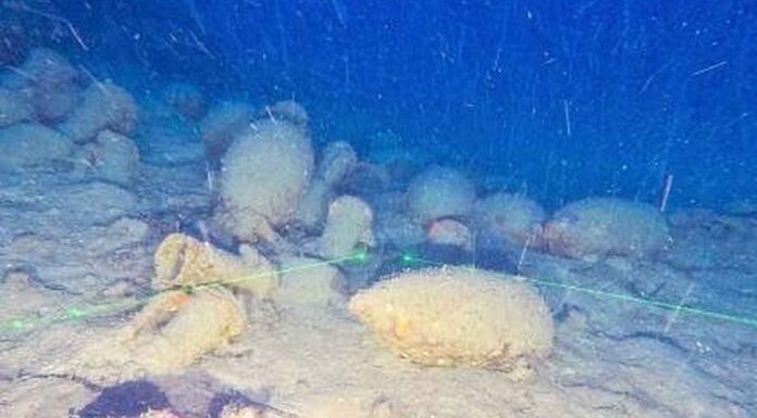 HALLAN UN BARCO ROMANO DEL SIGLO II A.C. CON ÁNFORAS DE VINO A 92 METROS DE PROFUNDIDAD EN SICILIA