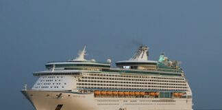 SEIS PASAJEROS DE UN CRUCERO DE ROYAL CARIBBEAN DIERON POSITIVO EN COVID-19