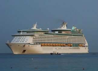 SEIS PASAJEROS DE UN CRUCERO DE ROYAL CARIBBEAN DIERON POSITIVO EN COVID-19