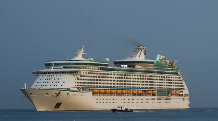 SEIS PASAJEROS DE UN CRUCERO DE ROYAL CARIBBEAN DIERON POSITIVO EN COVID-19