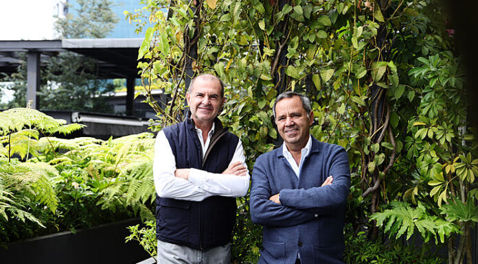 LA HISTORIA DE ALPHA CUSTOM YACHTS: DE PROPIETARIOS DE YATES A CONSTRUCTORES DE YATES