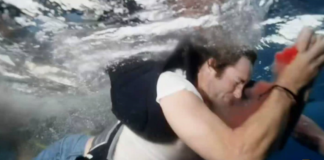 VIDEO – UN TIBURÓN MUERDE A UNA ESTRELLA DE TV MIENTRAS SE FILMABA “SEMANA DEL TIBURÓN” DE DISCOVERY CHANNEL