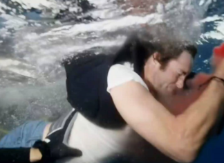 VIDEO – UN TIBURÓN MUERDE A UNA ESTRELLA DE TV MIENTRAS SE FILMABA “SEMANA DEL TIBURÓN” DE DISCOVERY CHANNEL