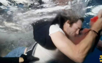 VIDEO – UN TIBURÓN MUERDE A UNA ESTRELLA DE TV MIENTRAS SE FILMABA “SEMANA DEL TIBURÓN” DE DISCOVERY CHANNEL