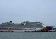 SINGAPUR: MILES DE PERSONAS CONFINADAS POR UN CASO DE COVID-19 A BORDO DE UN “CRUCERO A NINGUNA PARTE”