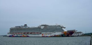 SINGAPUR: MILES DE PERSONAS CONFINADAS POR UN CASO DE COVID-19 A BORDO DE UN “CRUCERO A NINGUNA PARTE”