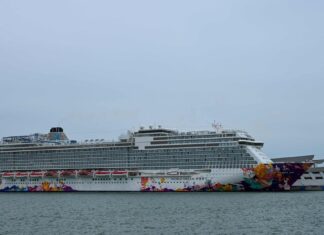 SINGAPUR: MILES DE PERSONAS CONFINADAS POR UN CASO DE COVID-19 A BORDO DE UN “CRUCERO A NINGUNA PARTE”