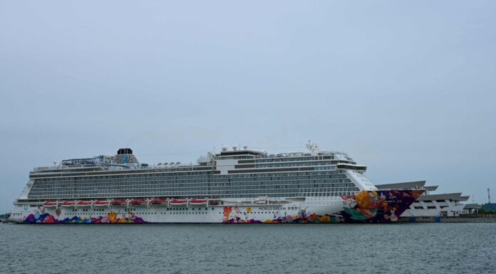 SINGAPUR: MILES DE PERSONAS CONFINADAS POR UN CASO DE COVID-19 A BORDO DE UN “CRUCERO A NINGUNA PARTE”