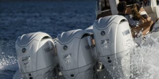 ¿EL TRIM SIRVE PARA ALGO?