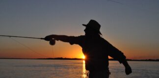 CORRIENTES – LA PROHIBICIÓN DE EXTRAER DORADOS Y SURUBÍES LLEGA A LOS DOS AÑOS