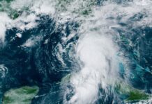 LOS PUERTOS DE LA COSTA DEL GOLFO DE FLORIDA PREPARADOS PARA LA TORMENTA TROPICAL “ELSA”