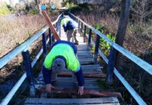 EL MUNICIPIO AVANZA CON EL MANTENIMIENTO DE MUELLES Y LUMINARIAS EN EL DELTA DE TIGRE