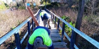 EL MUNICIPIO AVANZA CON EL MANTENIMIENTO DE MUELLES Y LUMINARIAS EN EL DELTA DE TIGRE