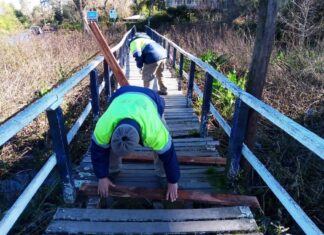 EL MUNICIPIO AVANZA CON EL MANTENIMIENTO DE MUELLES Y LUMINARIAS EN EL DELTA DE TIGRE