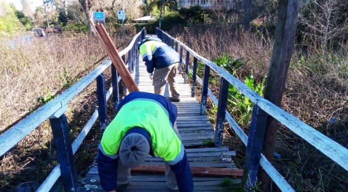 EL MUNICIPIO AVANZA CON EL MANTENIMIENTO DE MUELLES Y LUMINARIAS EN EL DELTA DE TIGRE