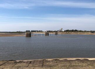 BAJANTE DEL RÍO PARANÁ: APARECIÓ SUELO LAGUNAR AL SUR DE LOS PILOTES EN LA LAGUNA SETÚBAL