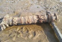 SAN PEDRO: HALLARON PARTE DE UNA ANTIGUA EMBARCACIÓN A ORILLAS DEL RÍO PARANÁ