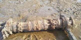 SAN PEDRO: HALLARON PARTE DE UNA ANTIGUA EMBARCACIÓN A ORILLAS DEL RÍO PARANÁ