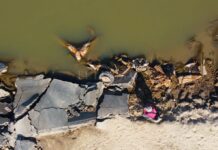 DEBIDO A LA BAJANTE APARECIÓ UNA CAMIONETA QUE SE HABÍA “TRAGADO” EL RÍO PARANÁ TRAS UN ACCIDENTE EN 2003