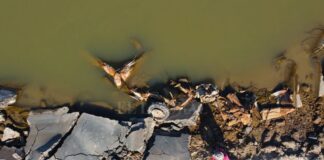 DEBIDO A LA BAJANTE APARECIÓ UNA CAMIONETA QUE SE HABÍA “TRAGADO” EL RÍO PARANÁ TRAS UN ACCIDENTE EN 2003