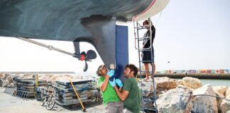 ESPAÑA – LOS MISTERIOSOS ENCONTRONAZOS DE LAS ORCAS CON VELEROS DE INTENSIFICAN EN EL ESTRECHO DE GIBRALTAR