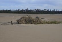 CRECIÓ EL RÍO PARANÁ EN LA CAPITAL ENTRERRIANA PERO SE ESTIMA QUE VOLVERÁ A DESCENDER AL MENOS HASTA OCTUBRE