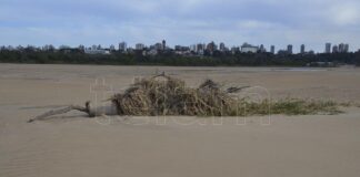 CRECIÓ EL RÍO PARANÁ EN LA CAPITAL ENTRERRIANA PERO SE ESTIMA QUE VOLVERÁ A DESCENDER AL MENOS HASTA OCTUBRE