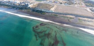 ¿QUÉ ES LA MANCHA MARRÓN QUE APARECIÓ EN EL MAR DE PUERTO MADRYN?