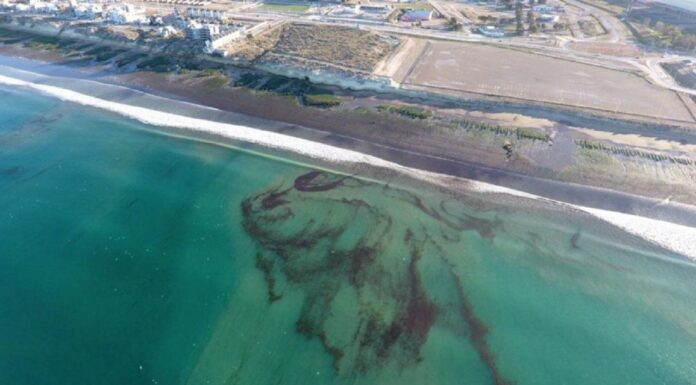 ¿QUÉ ES LA MANCHA MARRÓN QUE APARECIÓ EN EL MAR DE PUERTO MADRYN?