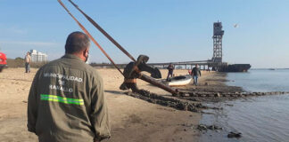 BAJANTE DEL PARANÁ: HALLARON UN ENORME ANCLA QUE PESA 15 TONELADAS