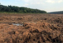 MISIONES: ADELANTAN LA VEDA PESQUERA EN LA ZONA DEL RÍO PARANÁ PARA EVITAR LA “MASACRE DE PECES”