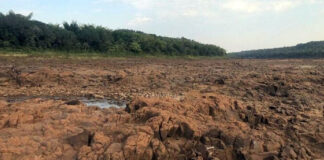 MISIONES: ADELANTAN LA VEDA PESQUERA EN LA ZONA DEL RÍO PARANÁ PARA EVITAR LA “MASACRE DE PECES”