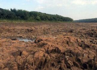 MISIONES: ADELANTAN LA VEDA PESQUERA EN LA ZONA DEL RÍO PARANÁ PARA EVITAR LA “MASACRE DE PECES”