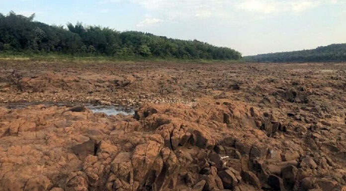 MISIONES: ADELANTAN LA VEDA PESQUERA EN LA ZONA DEL RÍO PARANÁ PARA EVITAR LA “MASACRE DE PECES”