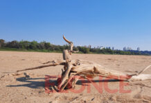 ENTRE RÍOS: REALIZARON UNA ACTIVIDAD ARTÍSTICA EN EL LECHO DEL RÍO PARANÁ PARA VISIBILIZAR LAS CONSECUENCIAS DE LA BAJANTE