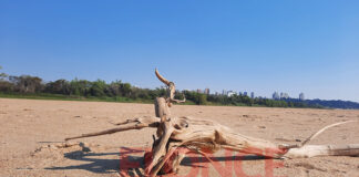 ENTRE RÍOS: REALIZARON UNA ACTIVIDAD ARTÍSTICA EN EL LECHO DEL RÍO PARANÁ PARA VISIBILIZAR LAS CONSECUENCIAS DE LA BAJANTE
