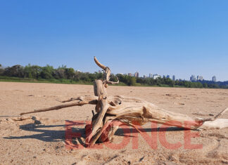 ENTRE RÍOS: REALIZARON UNA ACTIVIDAD ARTÍSTICA EN EL LECHO DEL RÍO PARANÁ PARA VISIBILIZAR LAS CONSECUENCIAS DE LA BAJANTE