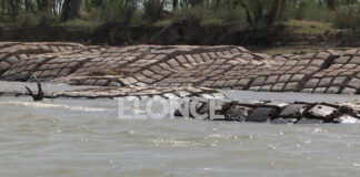 VIDEO- LA MANTA PROTECTORA DEL TÚNEL SUBFLUVIAL A LA VISTA POR LA BAJANTE DEL RÍO PARANÁ