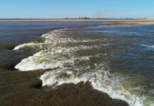 LA BAJANTE DEL RÍO PARANÁ CREÓ UNA “CASCADA” EN LA LAGUNA SETÚBAL