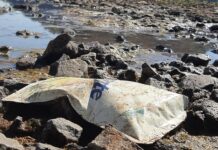 MISIONES: LA BAJANTE DEL RÍO PARANÁ DEJA EN EVIDENCIA RESIDUOS CONTAMINANTES EN MONTECARLO