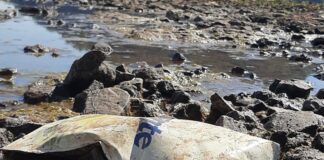 MISIONES: LA BAJANTE DEL RÍO PARANÁ DEJA EN EVIDENCIA RESIDUOS CONTAMINANTES EN MONTECARLO