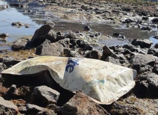 MISIONES: LA BAJANTE DEL RÍO PARANÁ DEJA EN EVIDENCIA RESIDUOS CONTAMINANTES EN MONTECARLO
