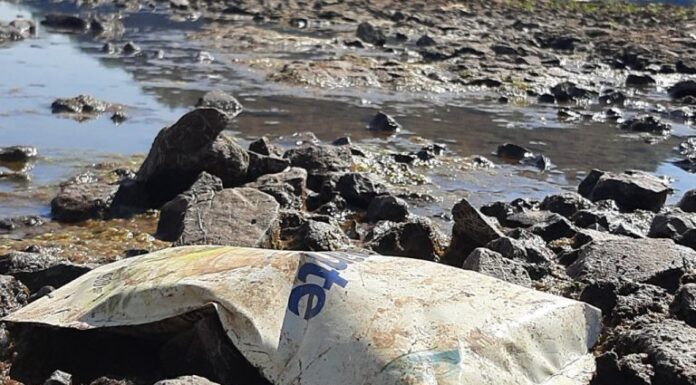 MISIONES: LA BAJANTE DEL RÍO PARANÁ DEJA EN EVIDENCIA RESIDUOS CONTAMINANTES EN MONTECARLO