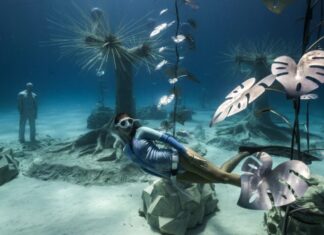 INAUGURARON UN “BOSQUE HUNDIDO” QUE SE PUEDE VISITAR BUCEANDO