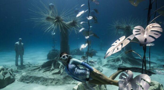 INAUGURARON UN “BOSQUE HUNDIDO” QUE SE PUEDE VISITAR BUCEANDO