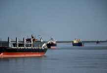 LA SUPERCARRETERA ARGENTINA DE LA SOJA SE ESTA SECANDO
