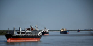LA SUPERCARRETERA ARGENTINA DE LA SOJA SE ESTA SECANDO