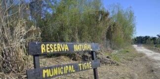 EL MUNICIPIO DE TIGRE APOYA LA CREACIÓN DE UNA RESERVA NATURAL EN EL DELTA