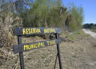 EL MUNICIPIO DE TIGRE APOYA LA CREACIÓN DE UNA RESERVA NATURAL EN EL DELTA