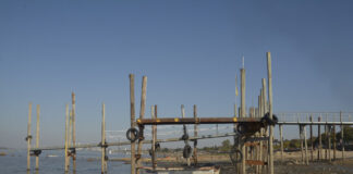 POR LA BAJANTE HISTÓRICA DEL RÍO PARANÁ, SE SUSPENDE UN TRADICIONAL CERTAMEN DE PESCA DE SANTA FE